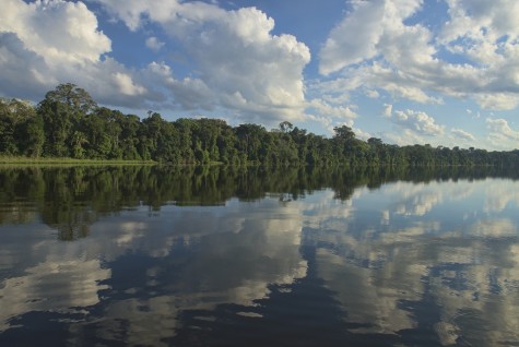 River Life: Adventures in the Peruvian Amazon