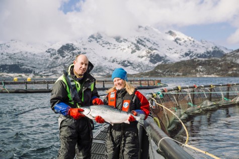 Salmon Fishing and Farming in Norway for Thailand and Beyond