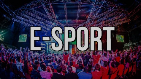E-Sport is now declared a professional sport