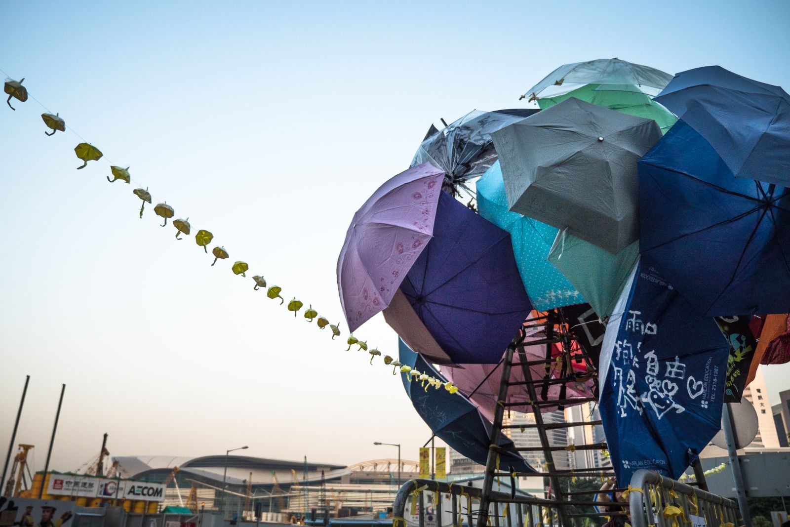 Hong Kong’s Summer of Discontent