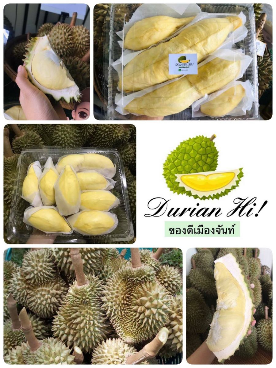 List of Durian online Delivery During the New Normal time.
