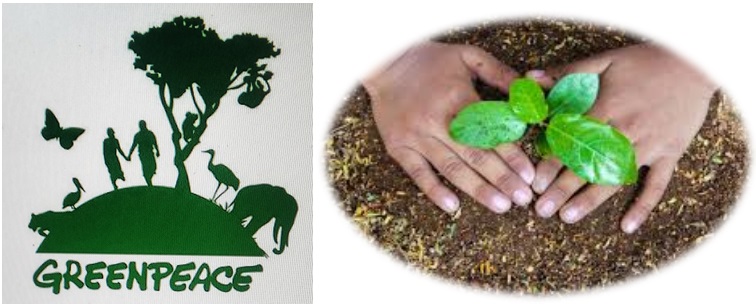 greenpeace
