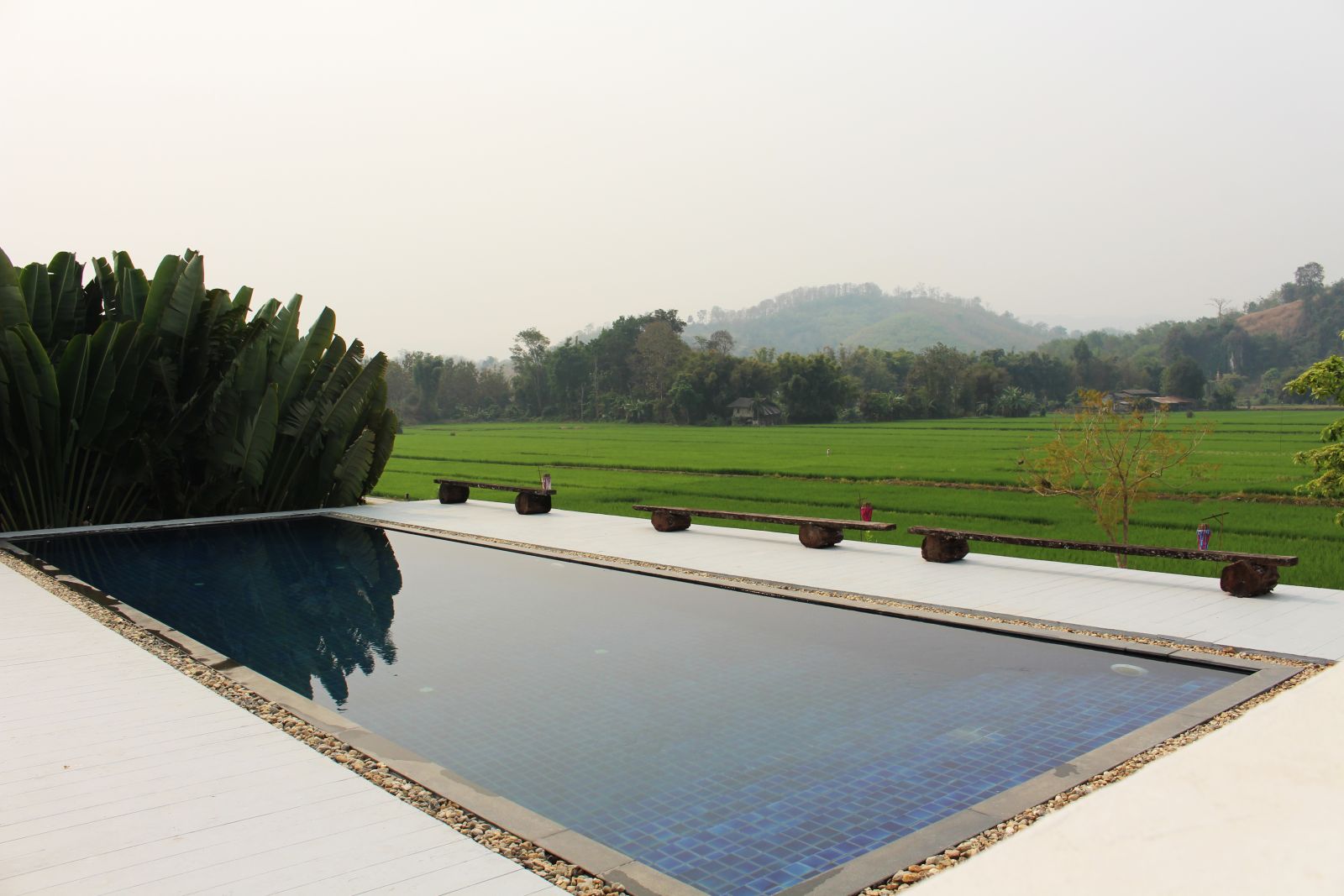 The Serene Magic of Manee Dheva Resort & Spa, Mae Salong Valley and Chiang Saen