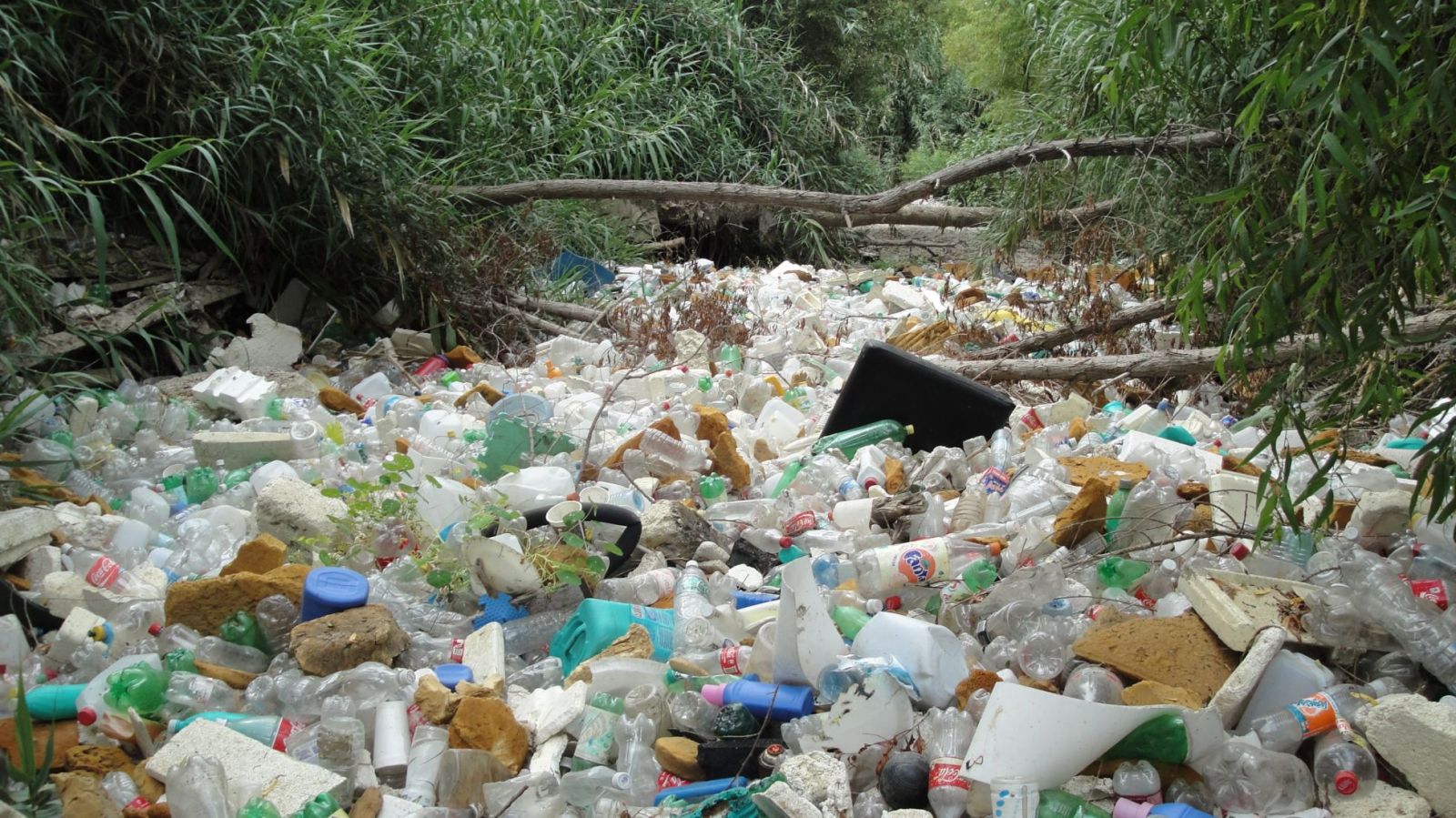 Thailand Implements Ban on Plastic Bags