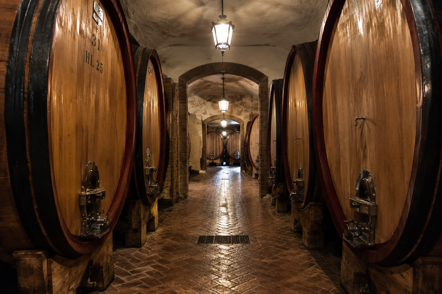 Italian Wines’ Uniqueness and Diversity
