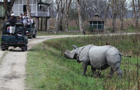 AN ASSAM ADVENTURE