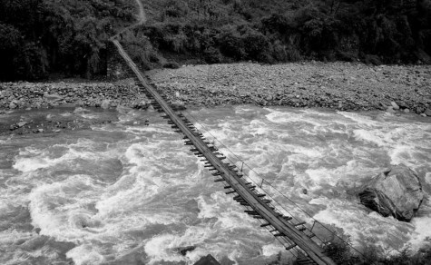 A JUNGLE ROAD, A HUMAN PATH
