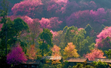 ASIA'S TOP 10 WINTER DESTINATIONS 1-5