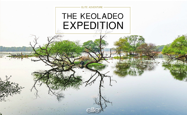 THE KEOLADEO EXPEDITION