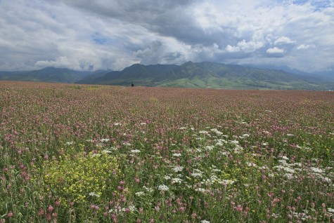 Kyrgyzstan: Swiss Mountain Paradise in Central Asia