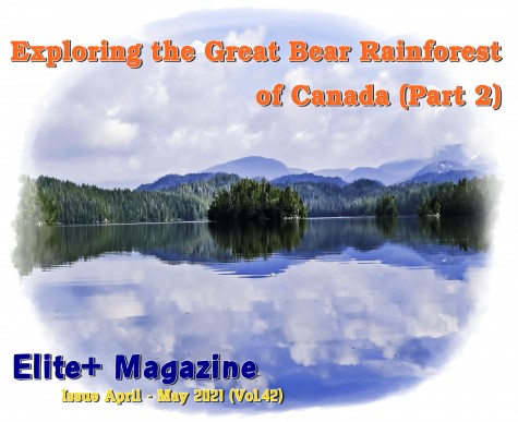 Exploring the Great Bear Rainforest of Canada (Part 2)