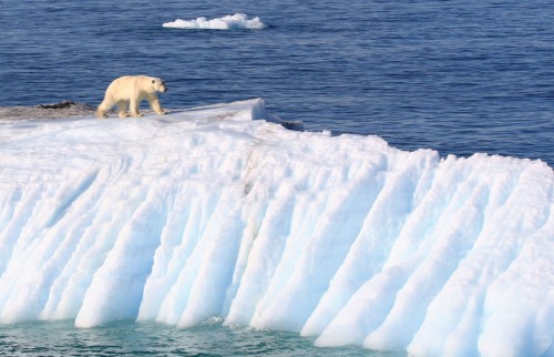 Cruising Svalbard Archipelago