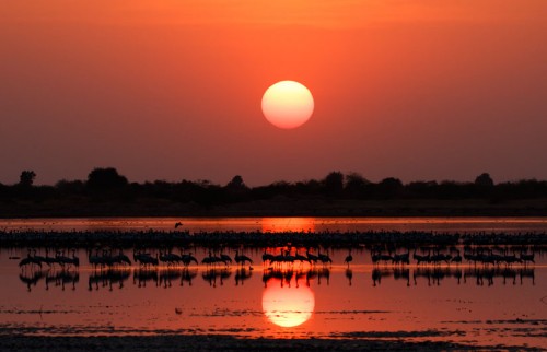 Little Rann Of Kutch