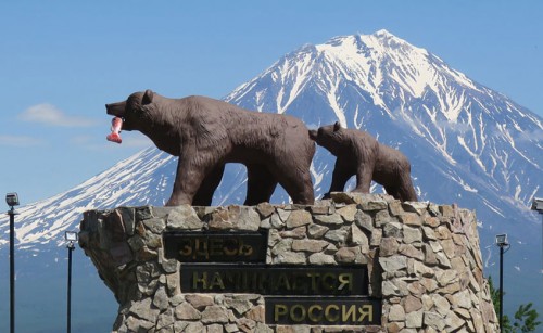 Searching For Kamchatka Brown Bears