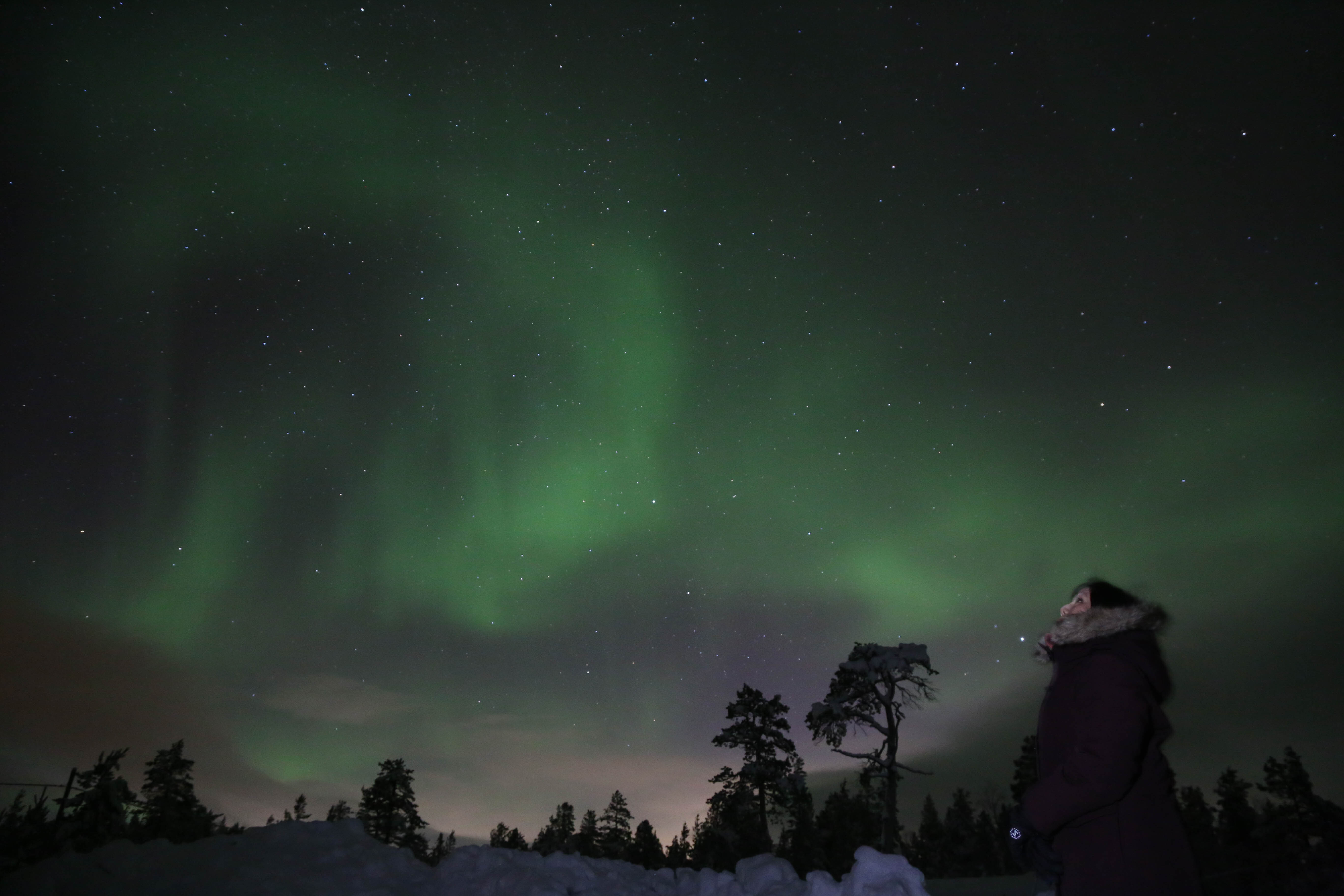 Dancing Aurora