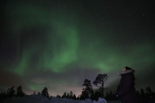 Dancing Aurora