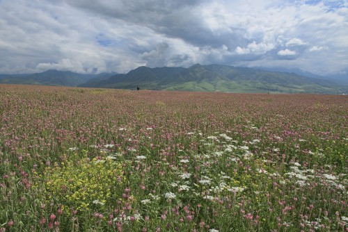 Kyrgyzstan: Swiss Mountain Paradise In Central Asia