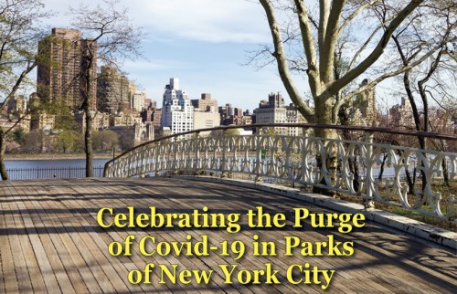 Celebrating The Purge Of Covid-19 In Parks Of New York City