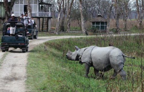 An Assam Adventure