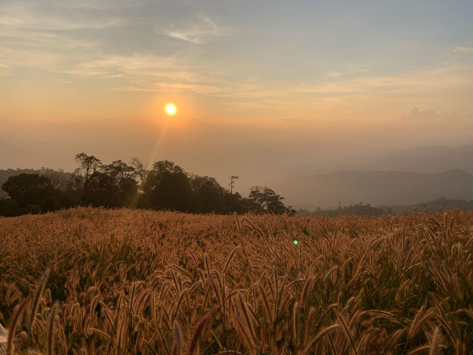 Baan Khun Pae: As Spectacular As The Swiss Alps