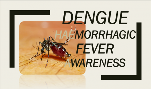 Dengue Haemorrhagic Fever Awareness