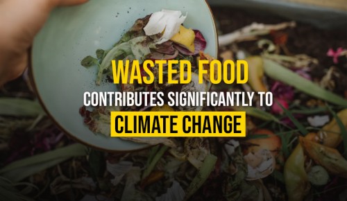 Wasted Food Contributes Significantly To Climate Change