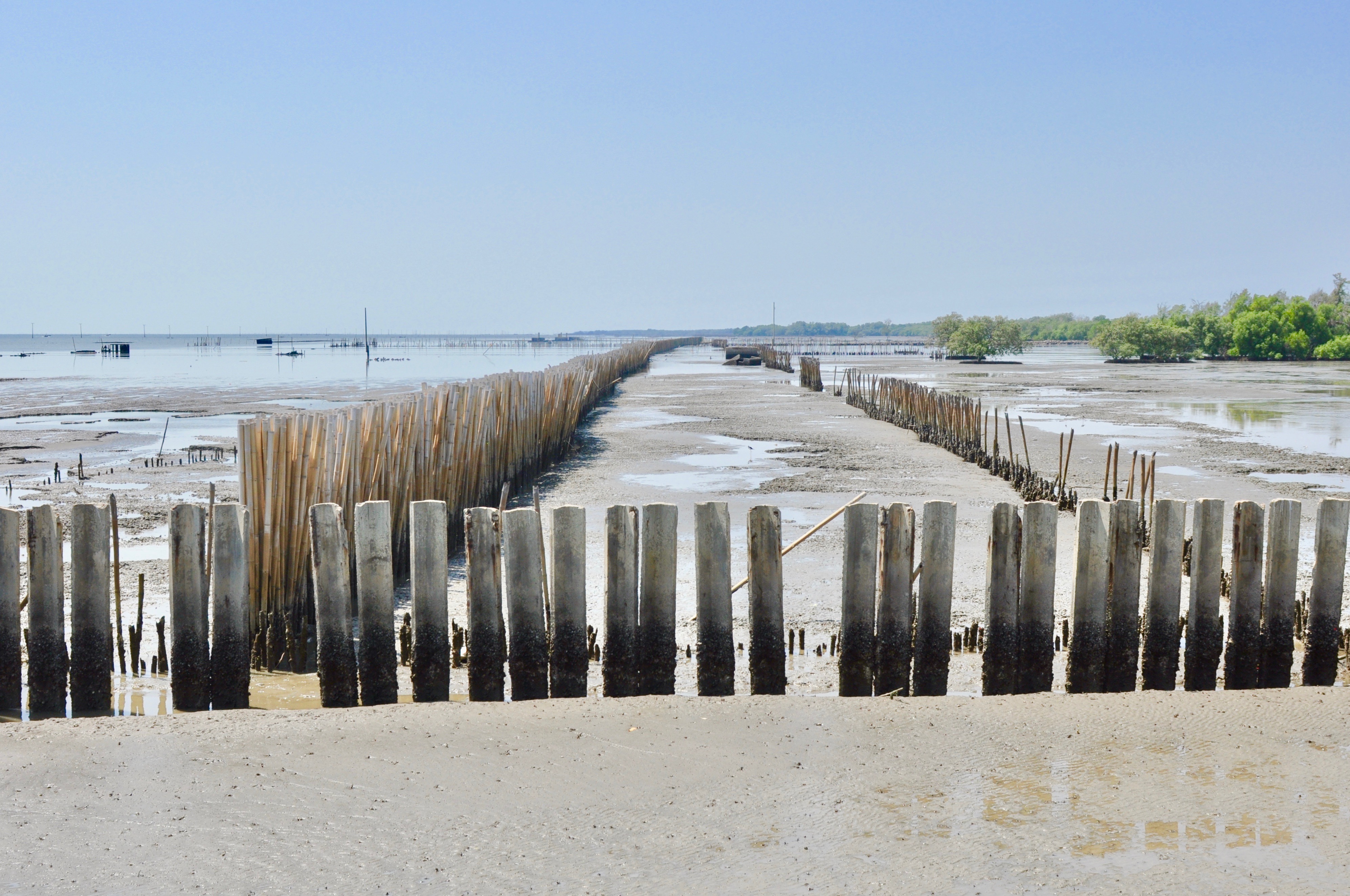 Addressing Coastal Erosion
