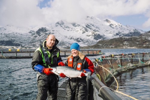 Salmon Fishing And Farming In Norway For Thailand And Beyond