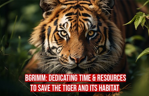 BGrimm: Dedicating Time & Resources To Save The Tiger And Its Habitat