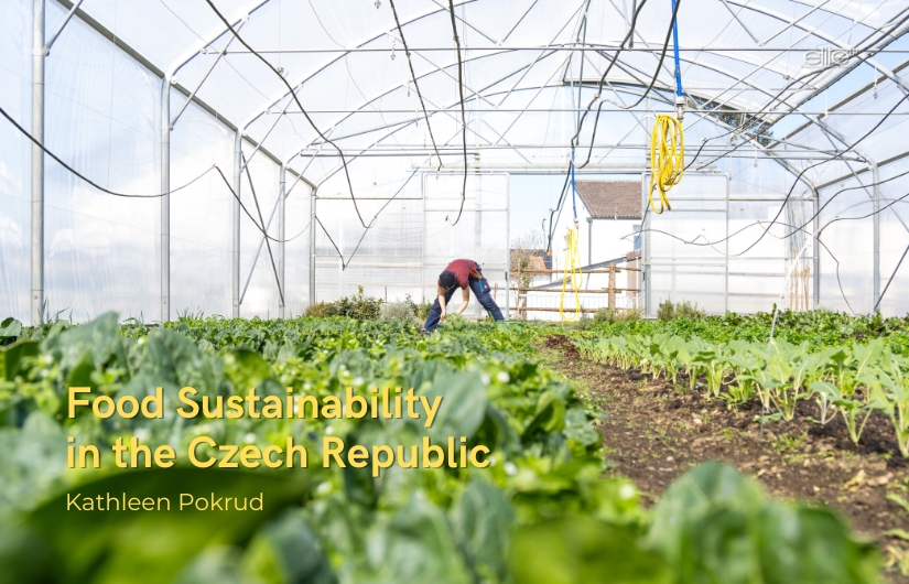 Food Sustainability in the Czech Republic