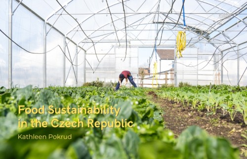 Food Sustainability in the Czech Republic