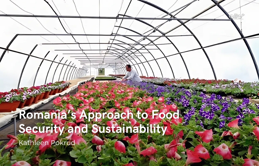 Romania’s Approach to Food Security and Sustainability