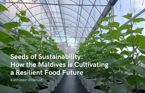 Seeds of Sustainability: How the Maldives is Cultivating a Resilient Food Future