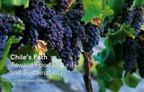 Chile’s Path Toward Food Security and Sustainability