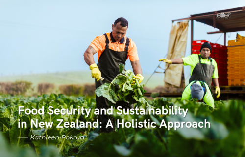 Food Security and Sustainability in New Zealand: A Holistic Approach