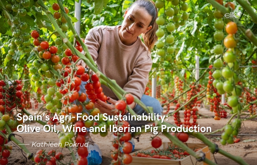 Spain’s Agri-Food Sustainability: Olive Oil, Wine and Iberian Pig Production