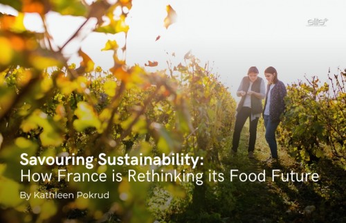 Savouring Sustainability: How France is Rethinking its Food Future