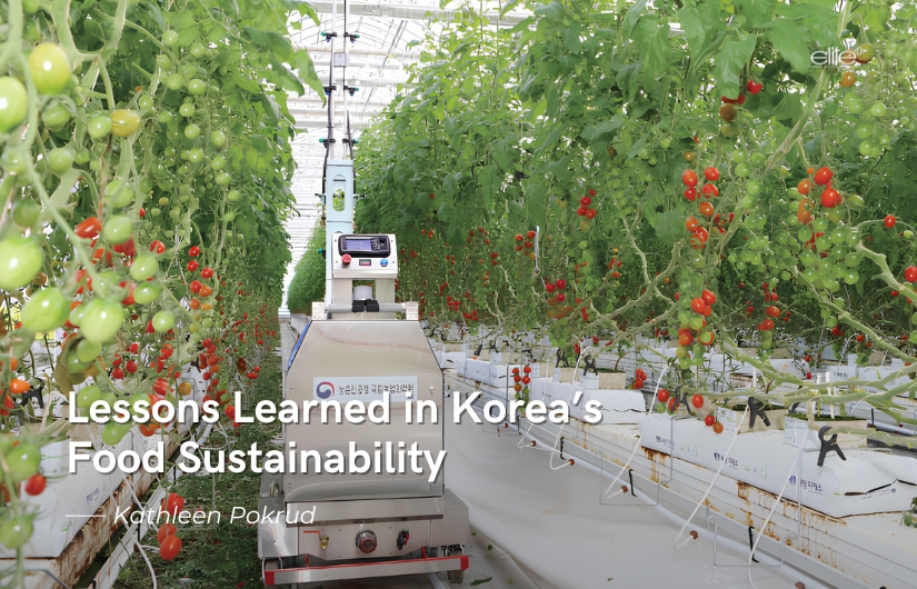 Lessons Learned in Korea’s Food Sustainability