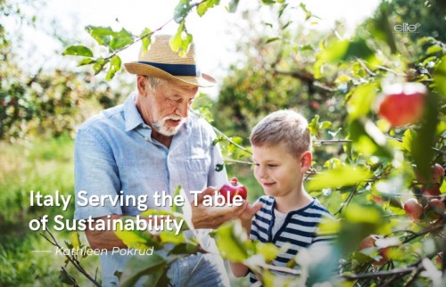 Italy Serving the Table of Sustainability