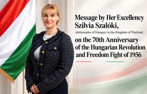 Message by Her Excellency Szilvia Szalóki