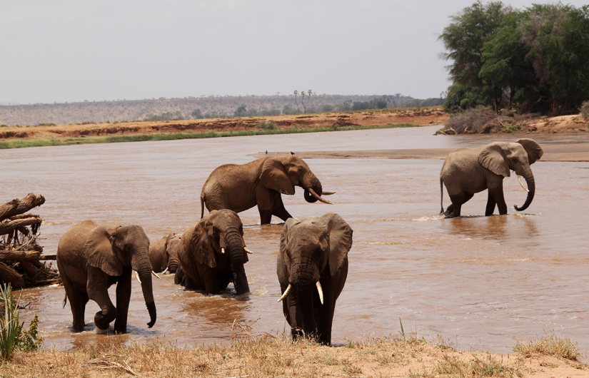 In Search Of The Big Five