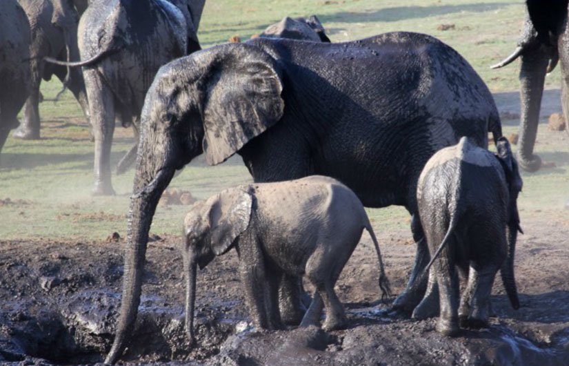 In Search Of The Big Five