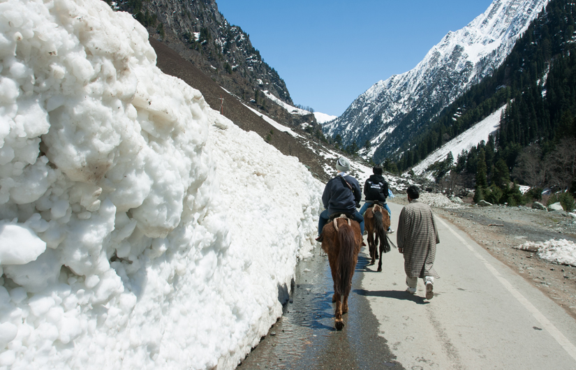 Kashmir Dreaming