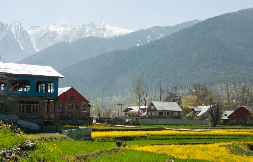 Kashmir Dreaming