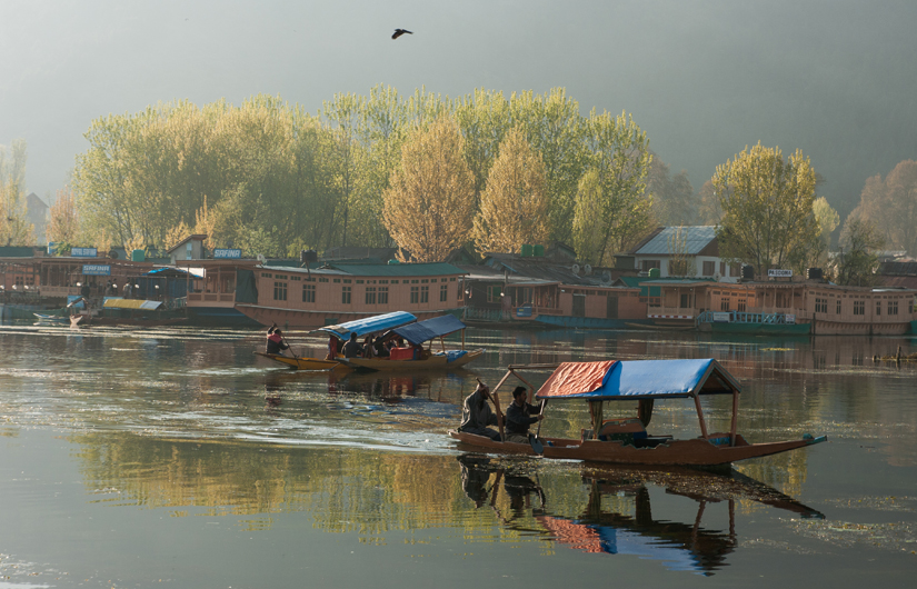 Kashmir Dreaming