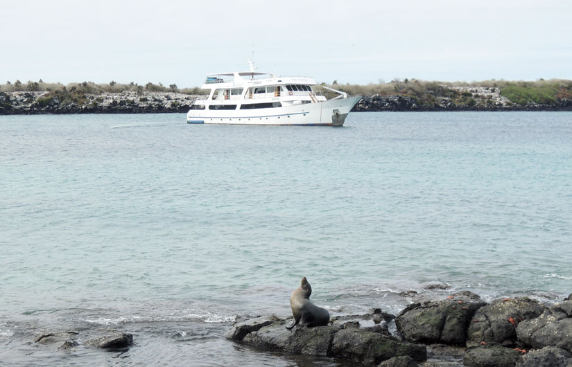 Photographing The Galapagos Wildlife (part1)