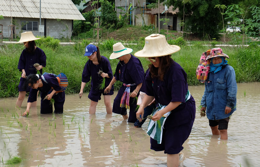 In Harmony With Sukhothai