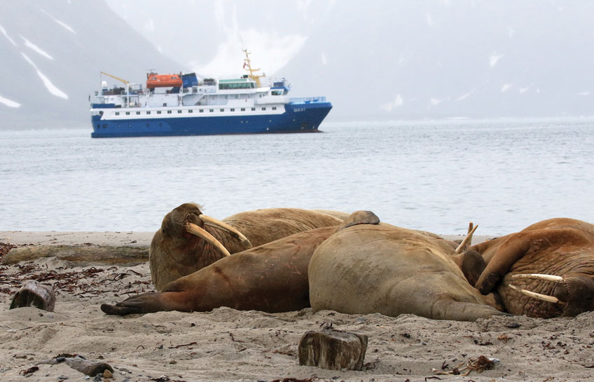 Cruising Svalbard Archipelago