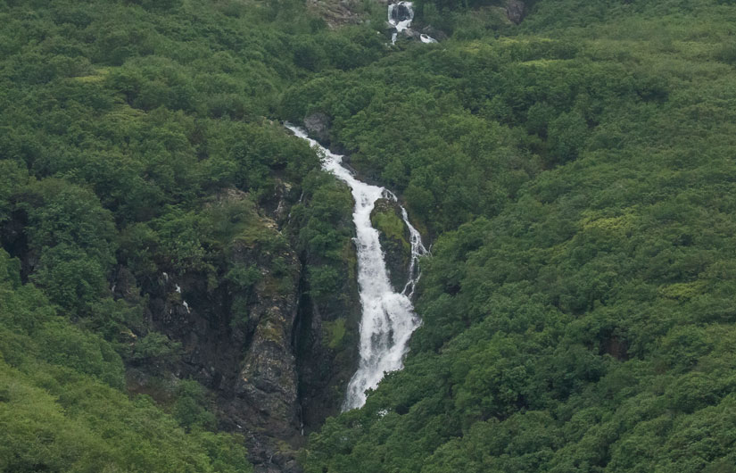 Searching For Kamchatka Brown Bears