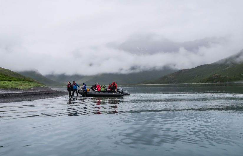 Searching For Kamchatka Brown Bears